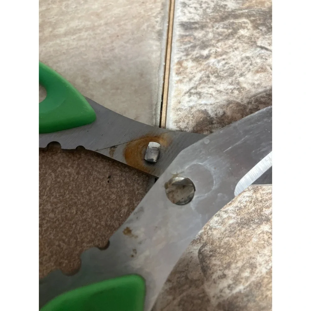 Farberware Kitchen Shears Green Ergonomic Handle Stainless Steel Multi-Purpose